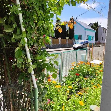 Soukromy Dum Se Zahradou U Pariku Bakov nad Jizerou